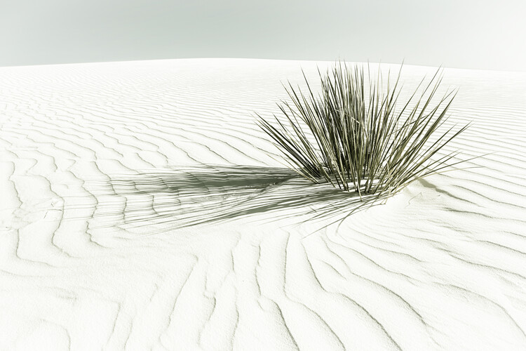 Poster WHITE SANDS Vintage Dune