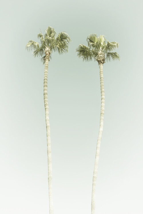 Poster Minimalist Vintage Palm Trees