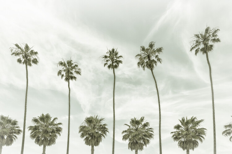 Poster Vintage Palm Trees