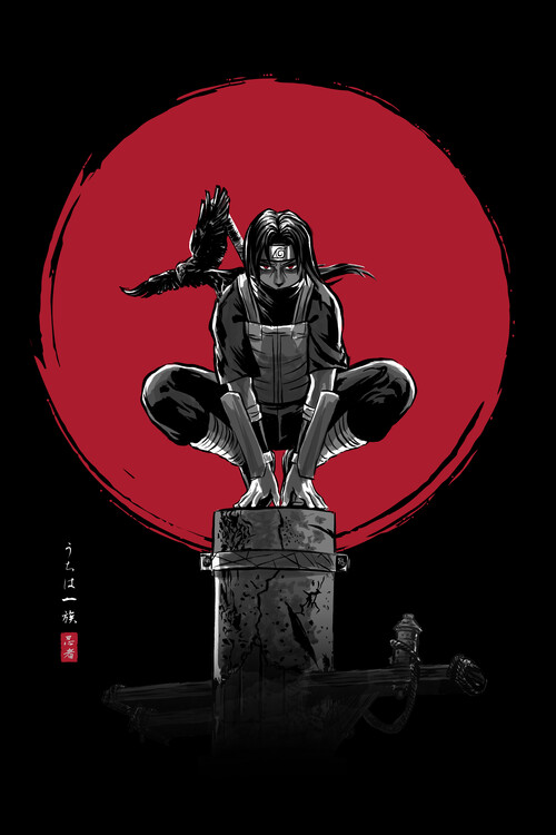 Poster The renegade ninja (v2)