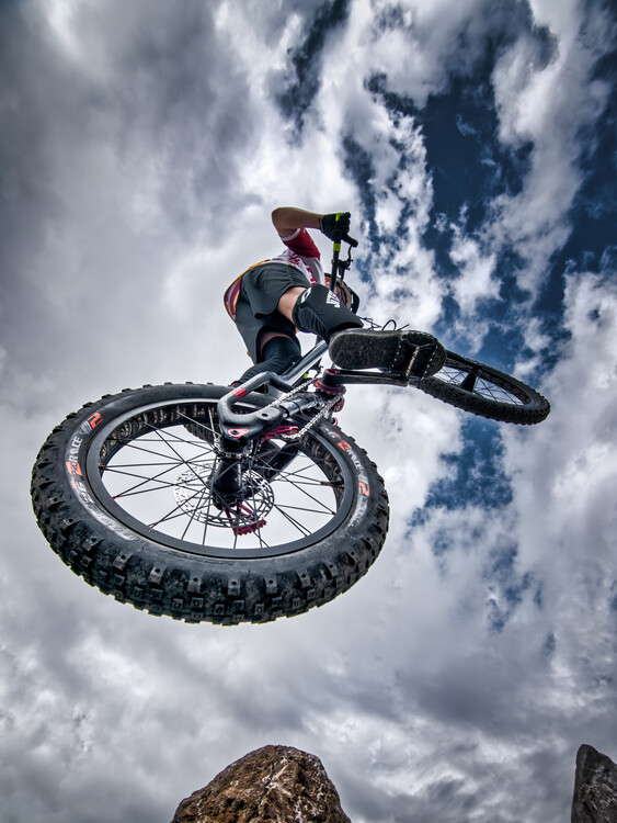 Canvas Print Volando