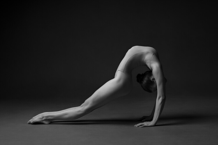 Canvas Print Flexure