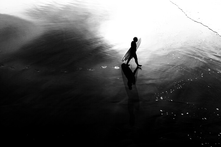 Canvas Print La farfalla