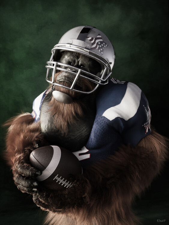 Poster Orangutan football portrait vintage animals renaissance