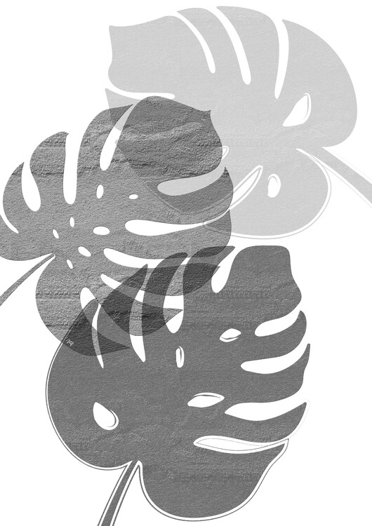 Plakat Grey Leaves II