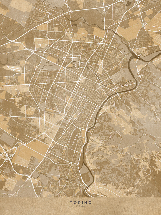 Poster Map of Torino (Italy) in sepia vintage style