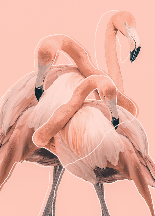 Poster Flamingos nr. 1