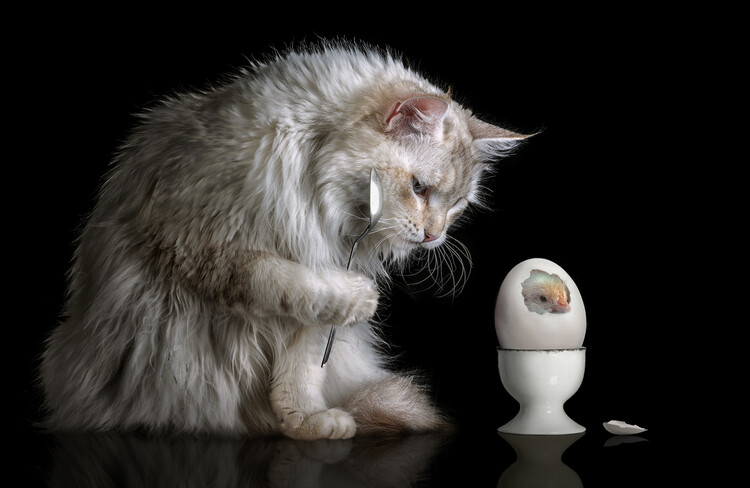 Canvas Print Hello World