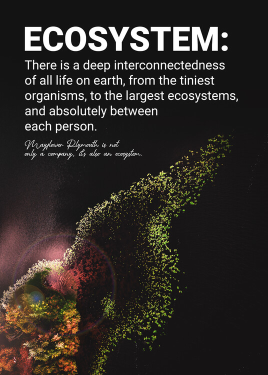 Plakát Ecosystem Organism On Earth Quote