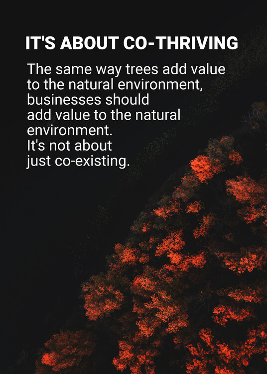 Plakát Natural Environment - Ecosystem Quote