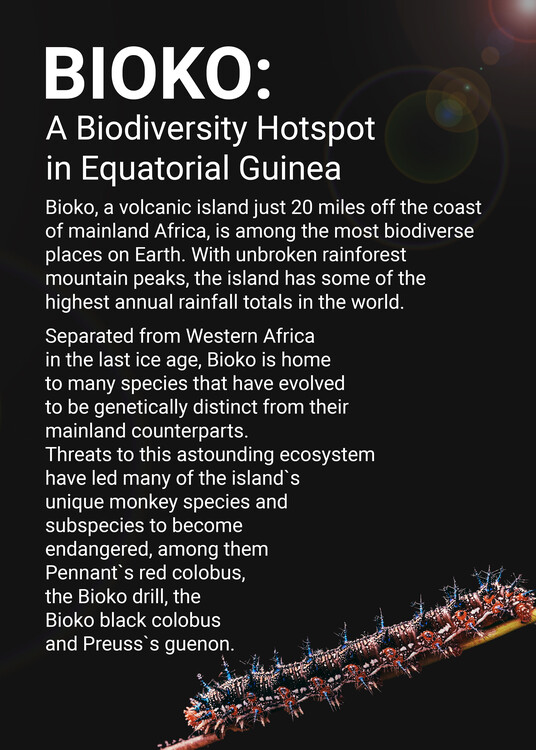 Plakát Bioko Biodiversity Guinea Quote