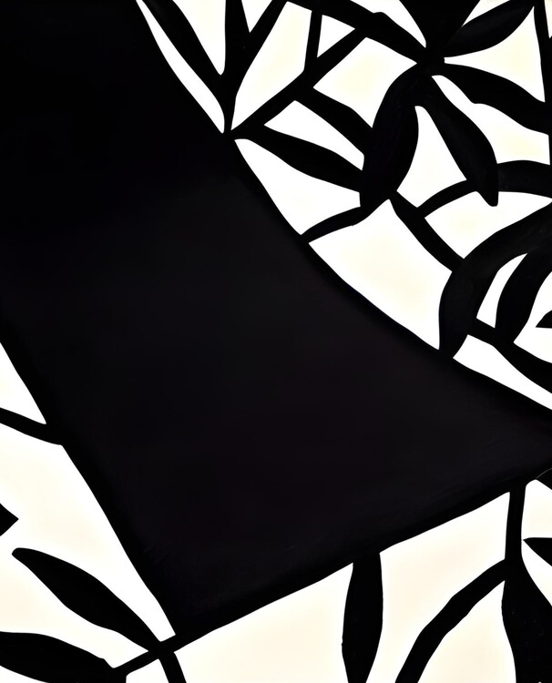 Плакат Black & White Abstract Geometry Henri Matisse Style Wall Art
