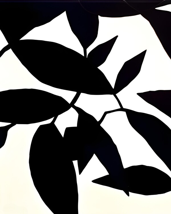 Плакат Black & White Abstract Shapes Henri Matisse Style Wall Art