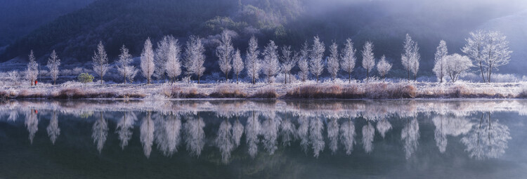 Levně Plakát, Obraz - Cold morning, Tiger Seo, 60 × 20 cm