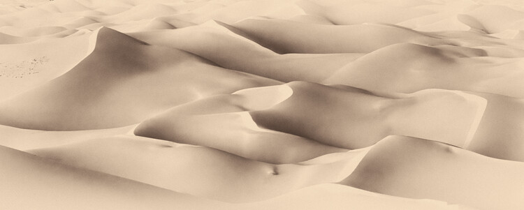Canvas Print Art of sand III