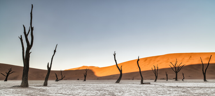 Plakát Namibian desert