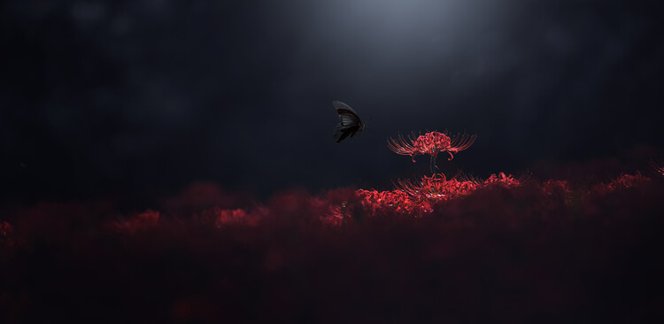 Tablou pe pânză Raven black and red