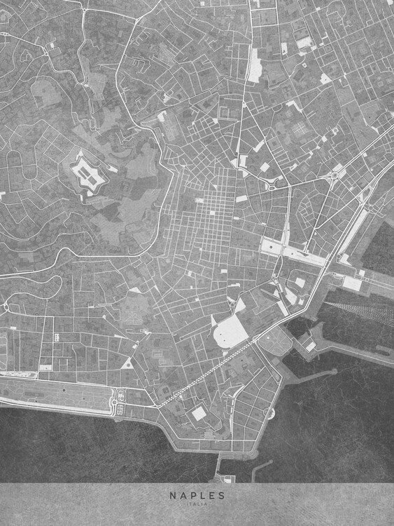 Poster Map of Naples downtown (Italy) in gray vintage style