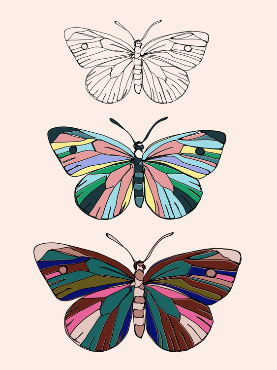 Poster Butterflies