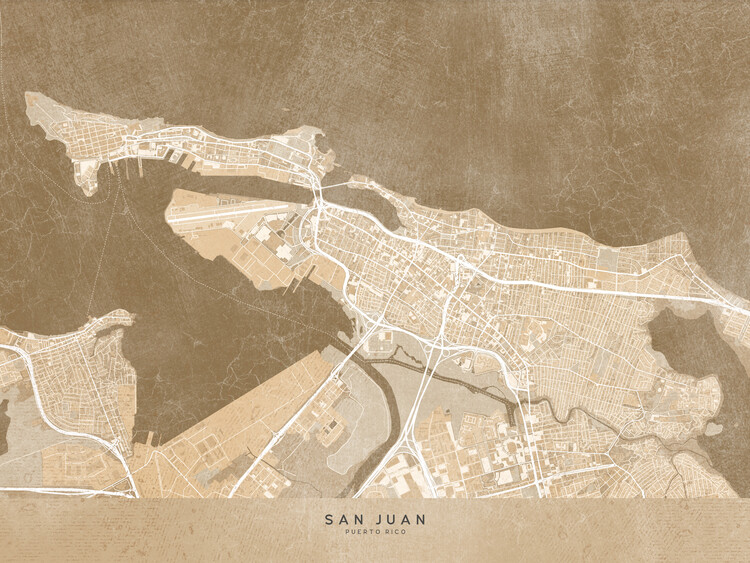 Juliste Map of San Juan (Puerto Rico) in gray vintage style I