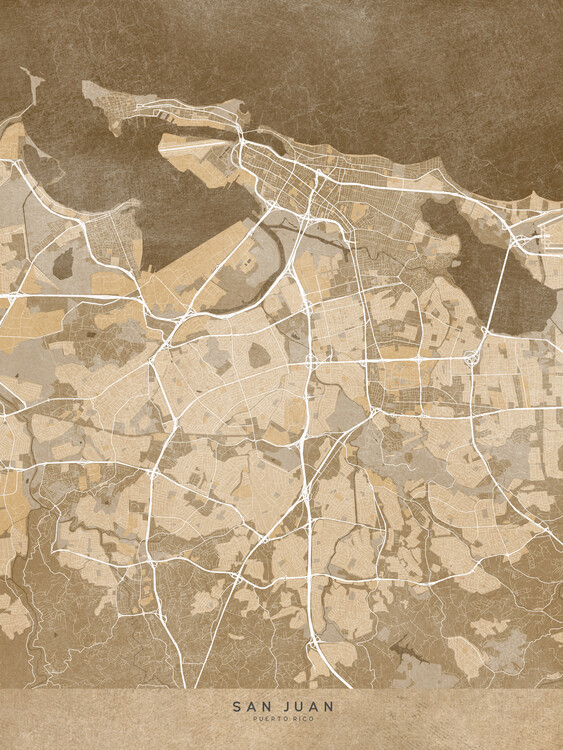 Juliste Map of San Juan (Puerto Rico) in sepia vintage style II