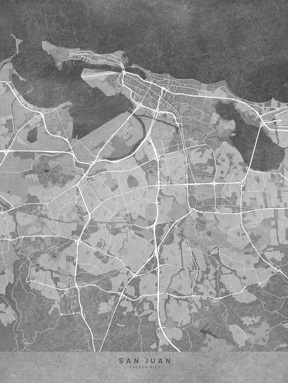 Juliste Map of San Juan (Puerto Rico) in gray vintage style II
