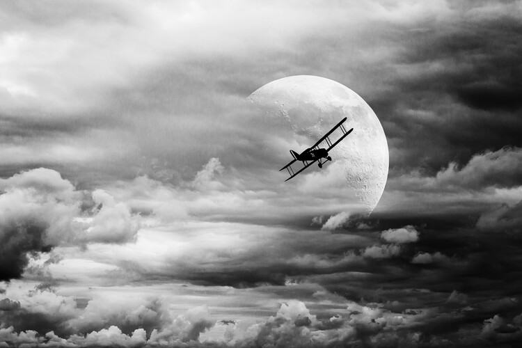 Canvas Print Lidojums