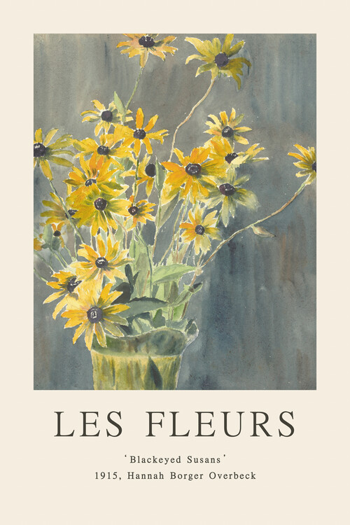 Poster Blackeyed Susans (Les Fleurs / The Flower Collection)