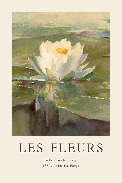 Poster White Water Lily (Les Fleurs / The Flower Collection)