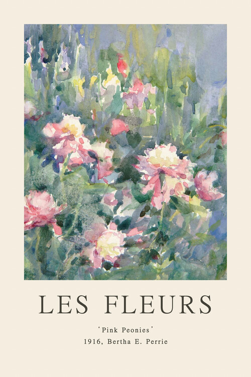 Poster Pink Peonies (Les Fleurs / The Flower Collection)