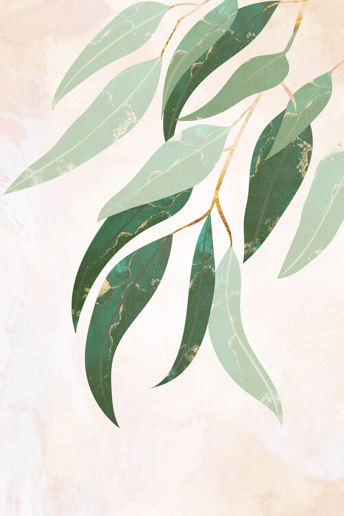 Poster Australian eucalyptus leaves