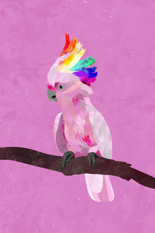 Plagát Rainbow pink cockatoo