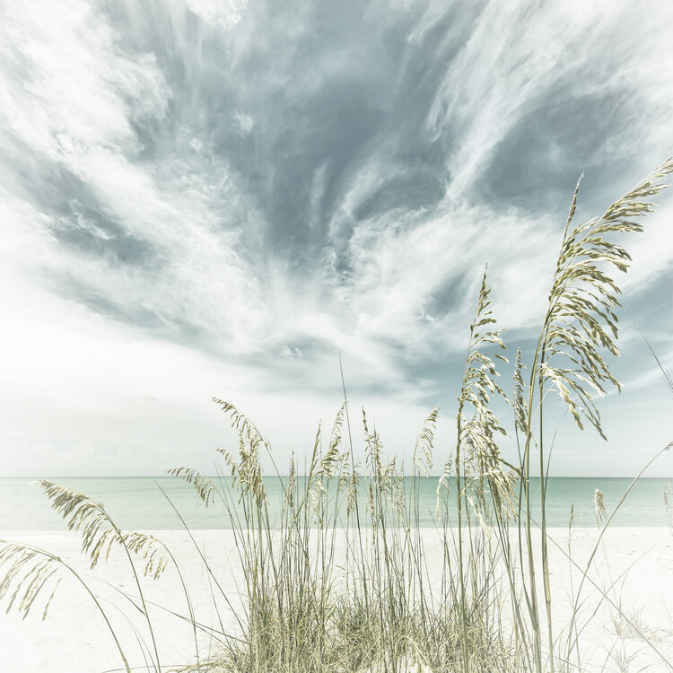 Poster Calmness on the beach - Vintage - square