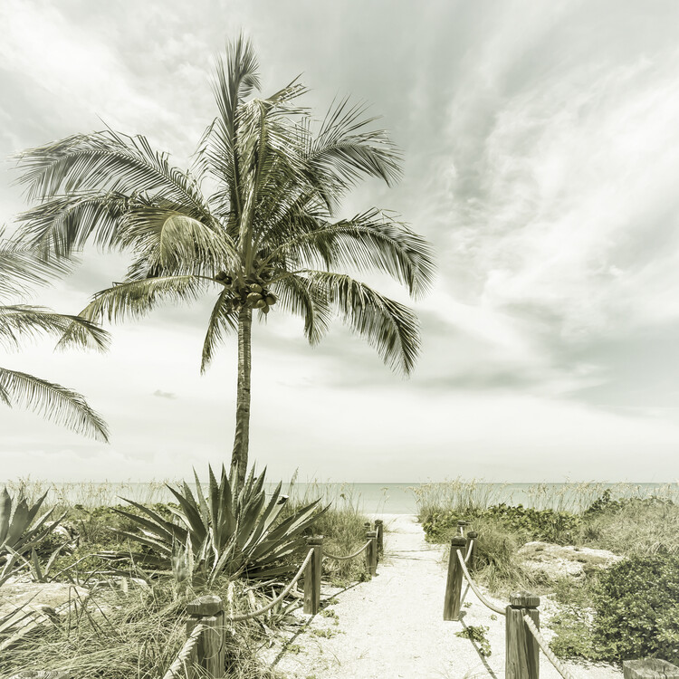 Poster Path to the beach - Vintage - square