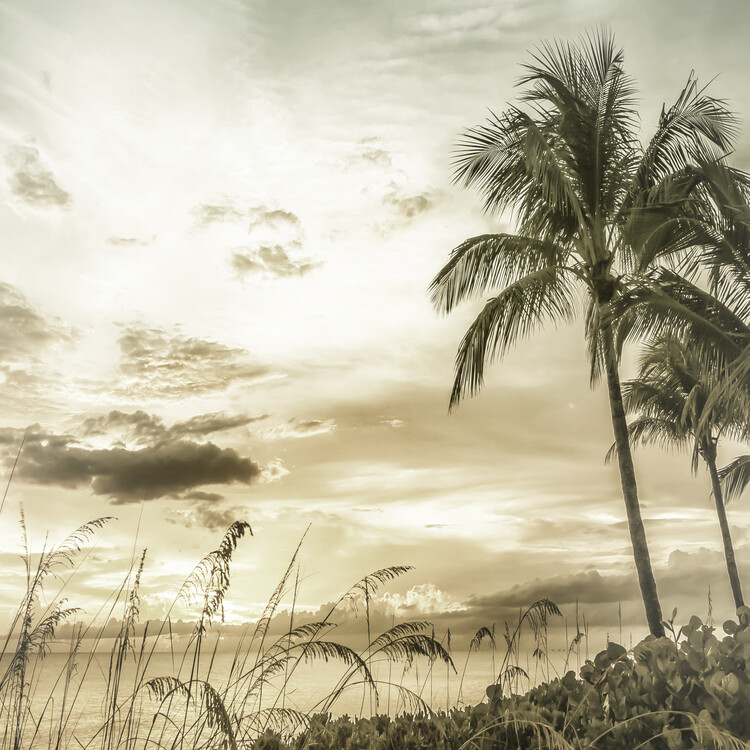 Плакат BONITA BEACH Bright Vintage Sunset - square