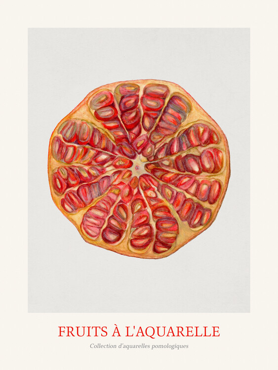Плакат Pomegranate (Watercolour Kitchen Fruit)