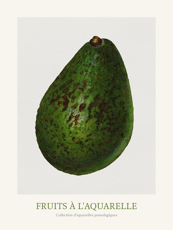 Плакат Avocado (Watercolour Kitchen Fruit)