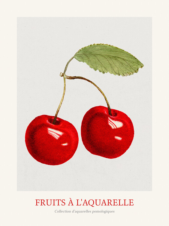 Poster Cherries (Watercolour Kitchen Fruit)