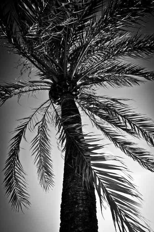 Poster SPAIN MALLORCA