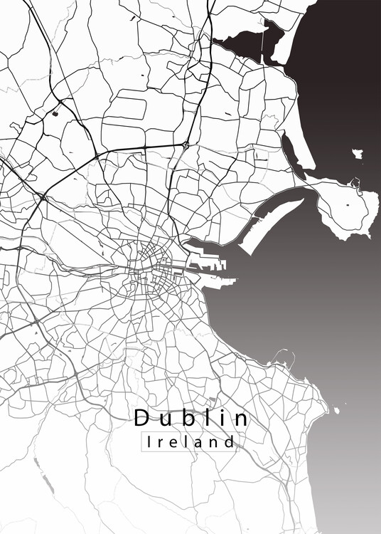 Плакат Dublin Ireland City Map white