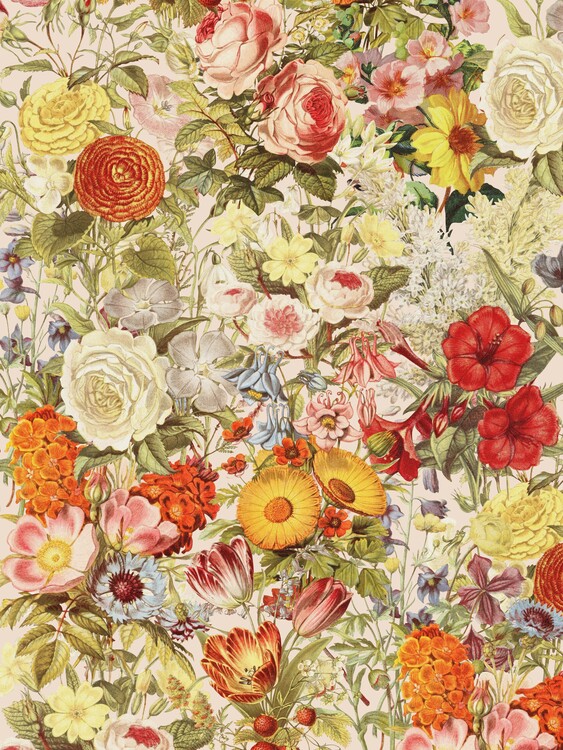 Poster Blooming woman