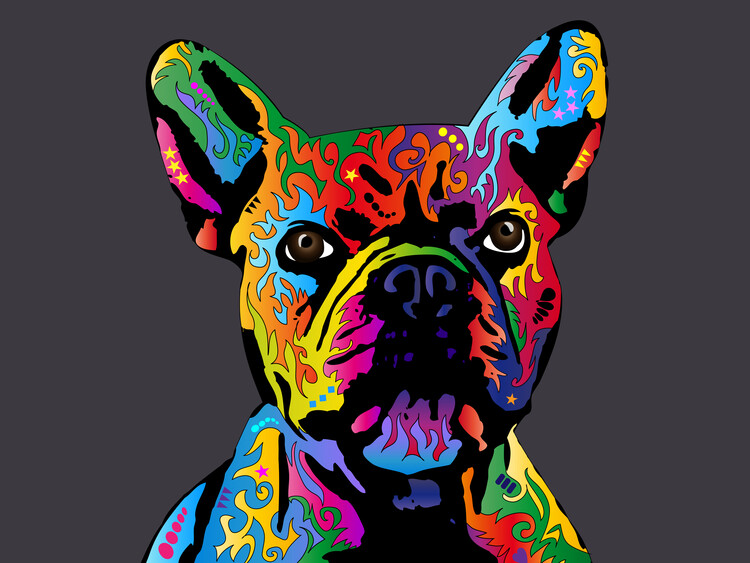 Poster French Bulldog Pop Art