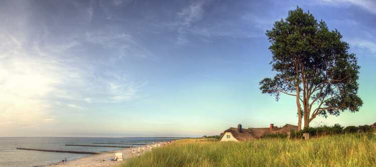 Poster Baltic Beach - Ahrenshoop