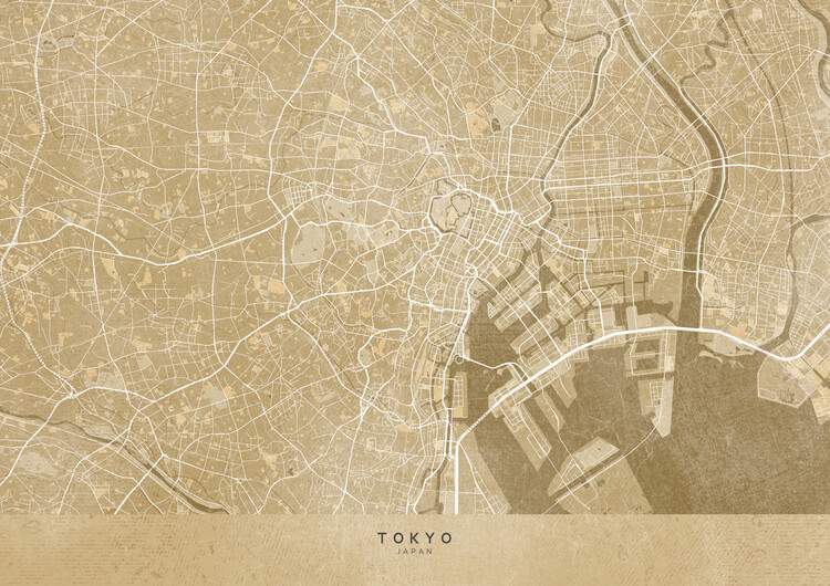 Plagát Map of Tokyo (Japan) in sepia vintage style