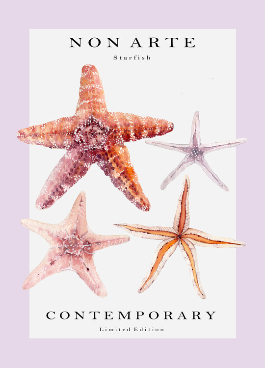 Poster Non Arte Starfish