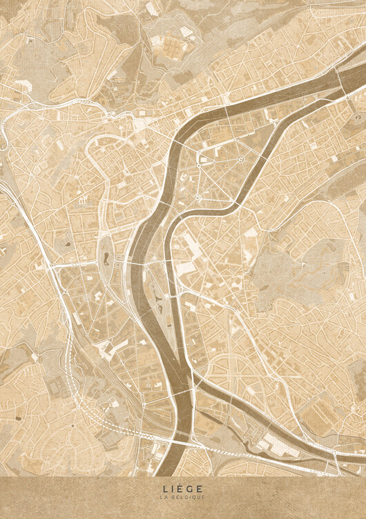 Poster Map of Liège (Belgium) in gray vintage style