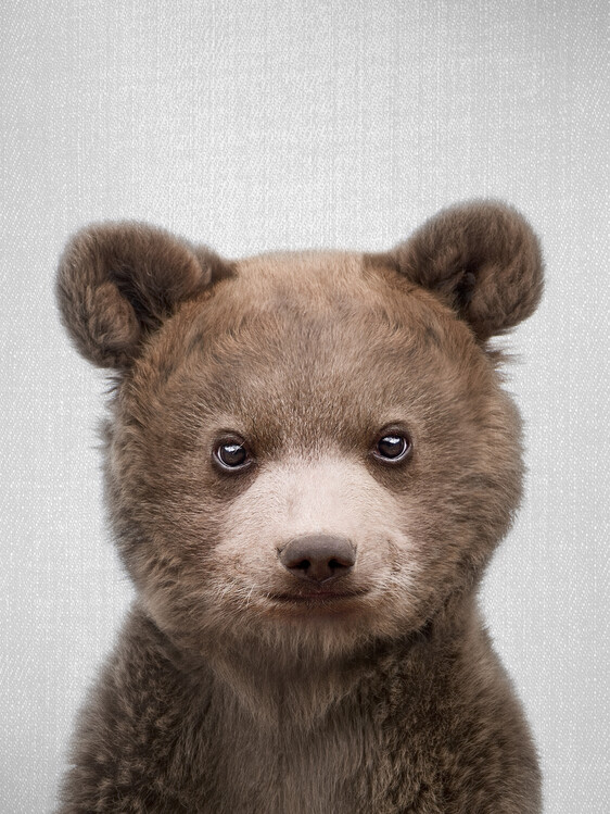 Poster Baby Bear