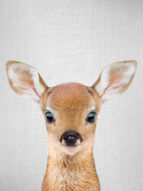Poster Baby Deer