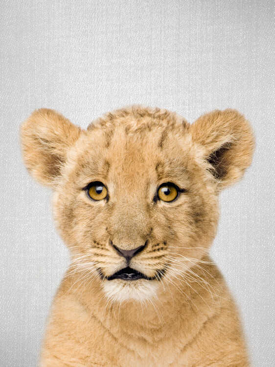 Plakat Baby Lion