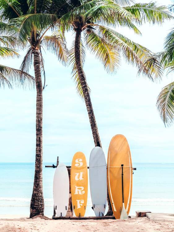 Poster Choose Your Surfboard